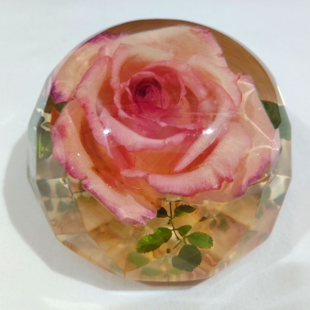 Vintage Rolfe Signed Rose Paperweight Real Flower Preserved Lucite Acrylic Facet - Picture 3 of 15